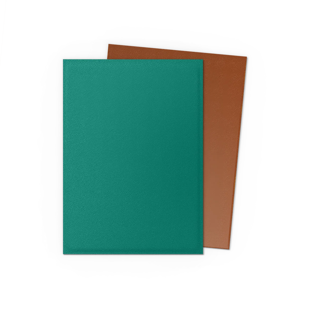 Tcg dragon shield: Power & Copper Matte Dual Sleeves