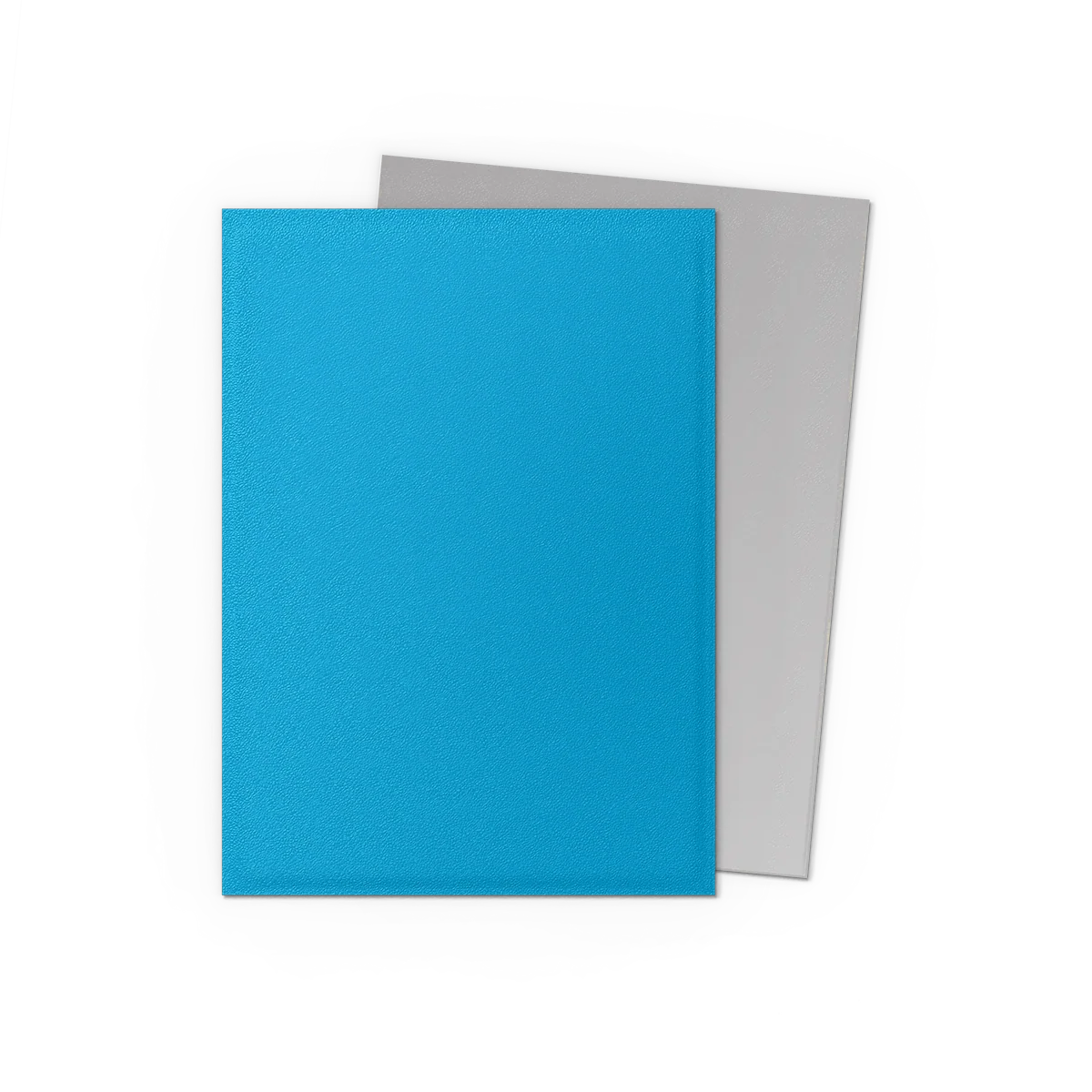 Tcg dragon shield: Sky Blue & Silver Matte Dual Sleeves