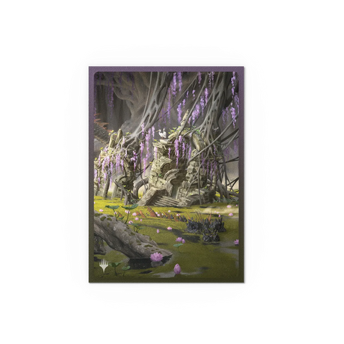 Dragon Shield Sleeves: Standard DUAL Matte MTG Landfall Series Verdant Catacombs Art 100 ct